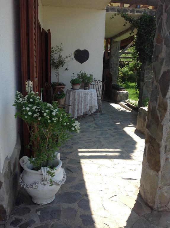 Pensiunea Romantic Sadu Zewnętrze zdjęcie